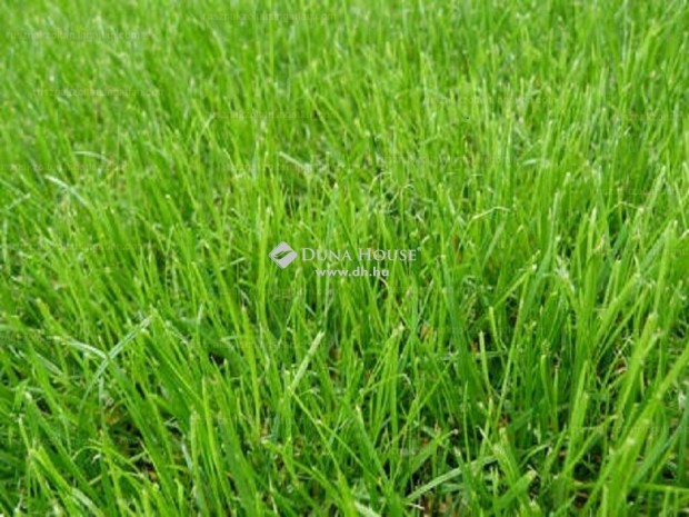 Elad� 9492 nm-es telek �rk�ny