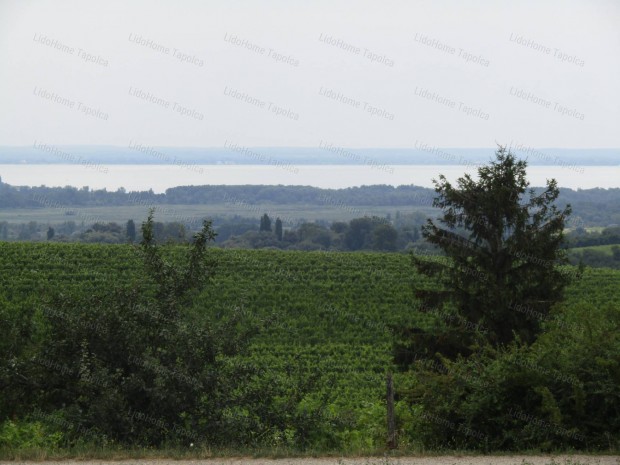 Elad BALATONI panorms zrtkert Lesencetomajon!