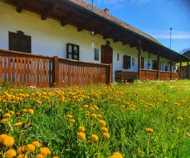 Elad� Buj�kon csod�latos k�rnyezetben paraszt h�z