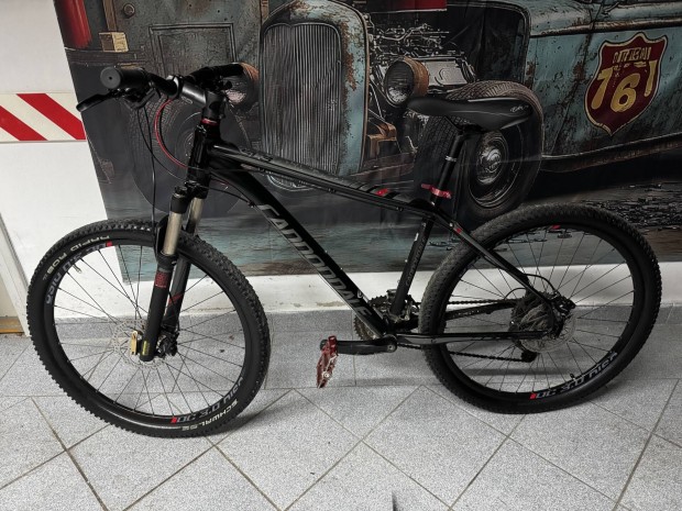 Eladó Cannondale Trail SL 3 (2013) 26"