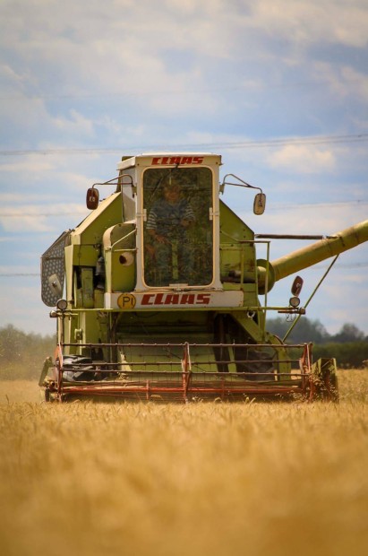 Eladó Claas mercator kombájn