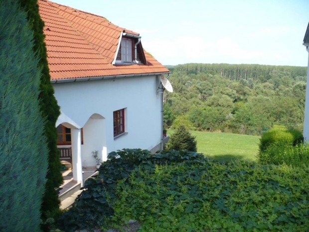 Eladó/Családi ház/Festői Bodrogkeresztúron, csodás panorámával, 690