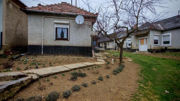 Elad� Csal�di h�z, pajta, ist�ll� a fest�i sz�ps�g� Kall�sdon