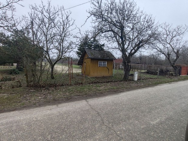 Elad� Csongr�d 2.300m2 ter�let+ saj�t St�g