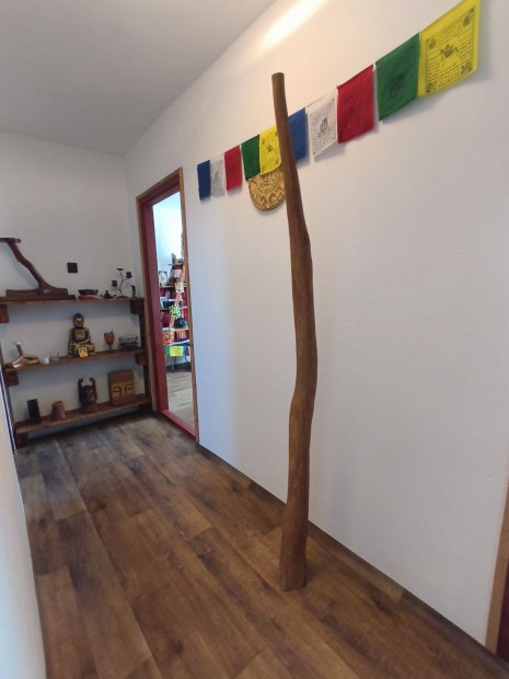 Eladó Didgeridoo