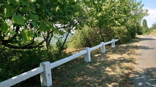 Elad� Di�sk�li K�lter�leti ingatlan, legel�, erd�