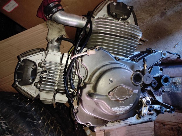 Elad Ducati Monster 600 2002 motorblokk