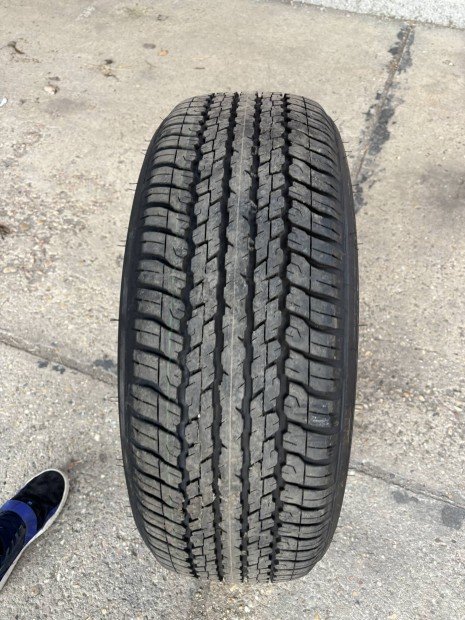 Elad Dunlop nyri gumiabroncs szett 265/60R18