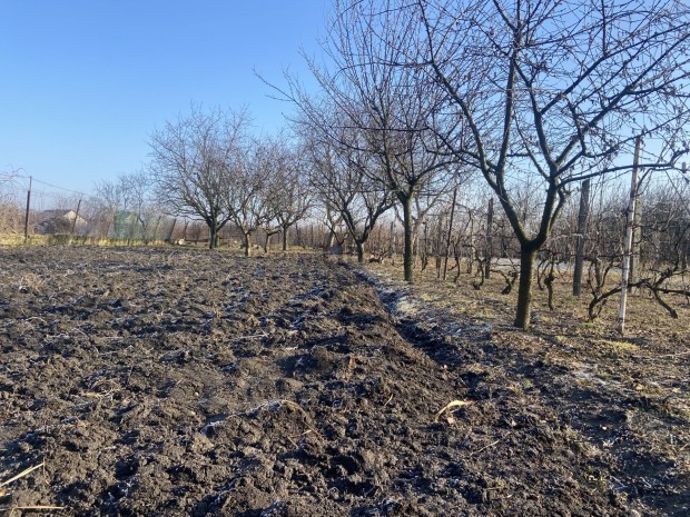 Elad PTSI TELEK Sajpetri kzpontjban BOMBA RON!