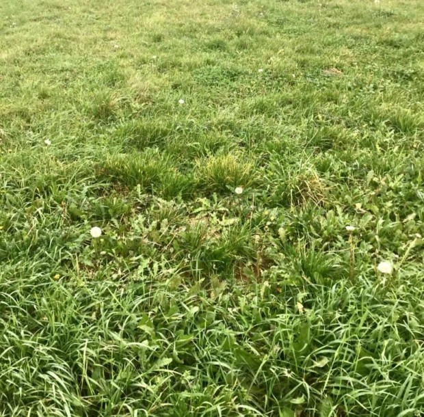 Elad� �P�T�SI telek HAJM�SK�REN