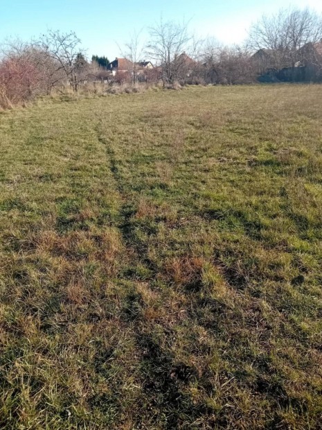 Elad� �p�t�si Telek!