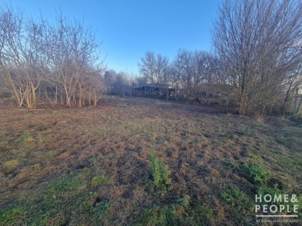 Elad� �p�t�si telek H�dmez�v�s�rhely