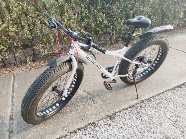 Elad Fatbike