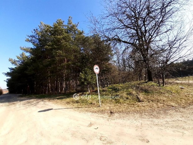 Elad� Fejleszt�si ter�let, Kecskem�t