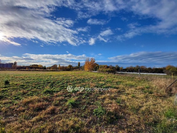 Elad� Fejleszt�si ter�let, Si�fok