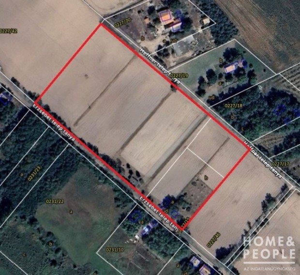 Elad� F�ld, kert, tanya / Egy�b �pusztaszer