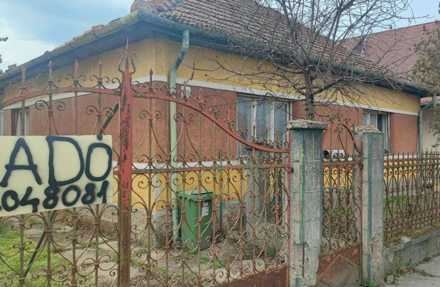 Elad Hz Szdn