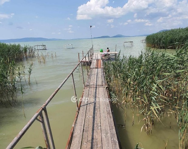 Elad Hz, Balatonfenyves