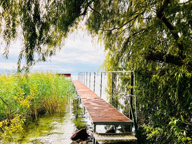 Elad Hz, Balatonkenese