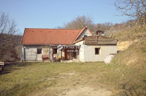 Elad Hz, Balatonszls