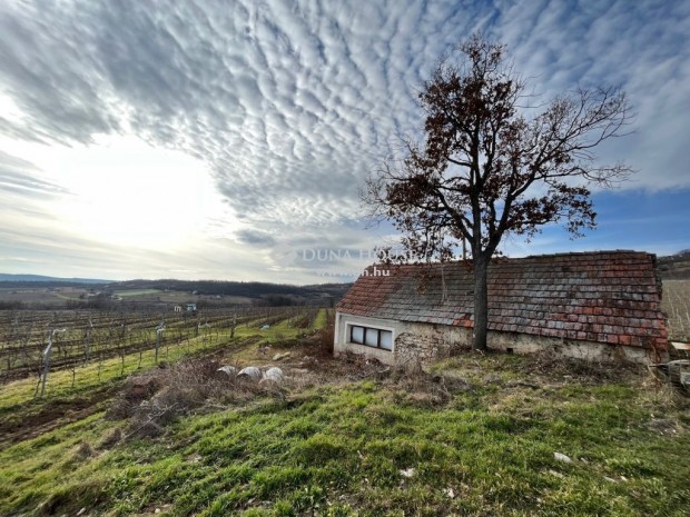 Elad Hz, Balatonszls