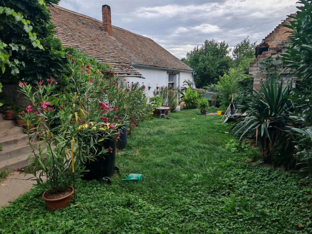 Elad� H�z, Boda 49.900.000 Ft