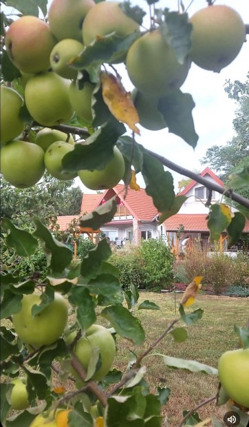 Elad� H�z, Cserszegtomaj 210.000.000 Ft