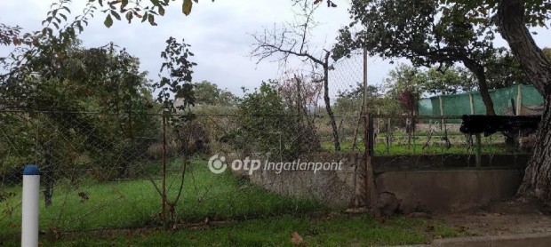 Elad� H�z, Gy�ngy�spata