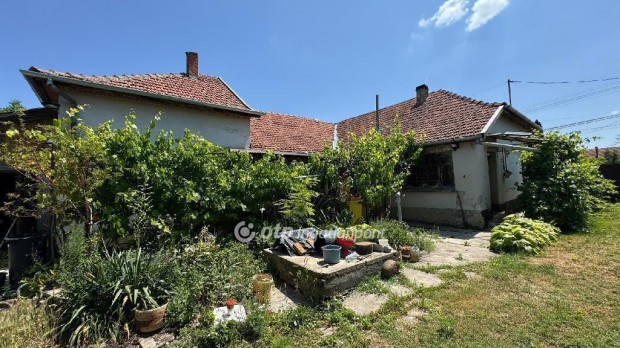 Eladó Ház, Mezőkovácsháza