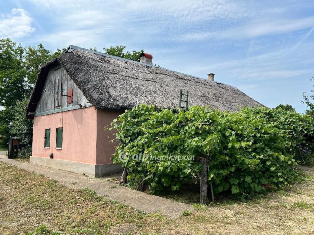 Eladó Ház, Nyírtelek