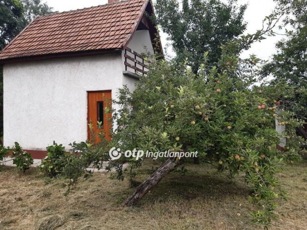 Elad Hz, Pspkladny Arbortum kzeli