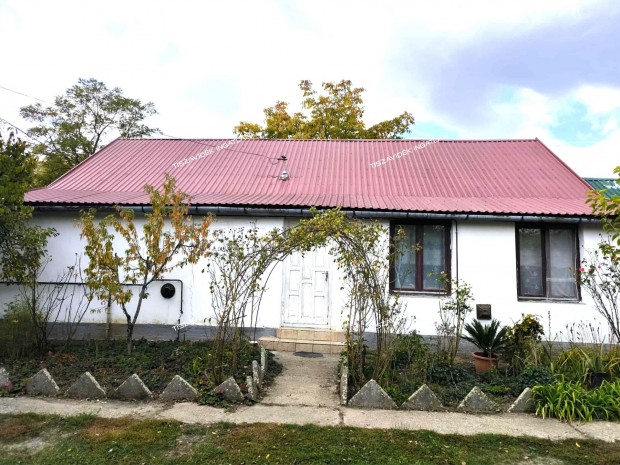 Elad� H�z, Tiszas�ly 6.900.000 Ft