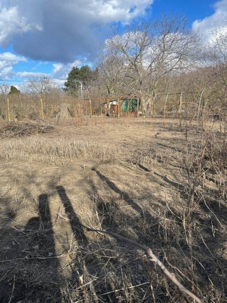 Elad� Hobbi Telek Kalocs�n K�v�g� k�z