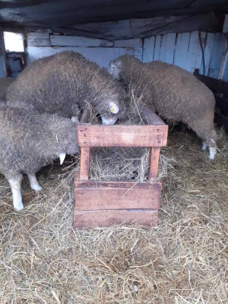 Elad� Ille de France Kos 