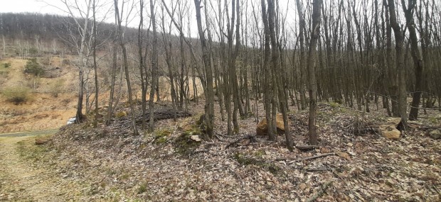 Elad� Ipari, F�z�rradv�ny 139.900.000 Ft