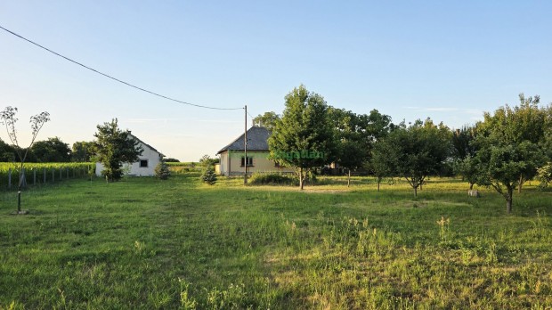 Elad� Ipari, G�vavencsell� 109.000.000 Ft