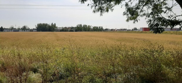 Elad� Ipari, S�rospatak 170.000.000 Ft