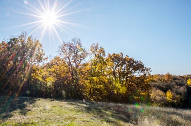 Elad� Ipari, Szentkir�lyszabadja 100.000.000 Ft
