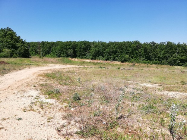 Elad� Iparter�let