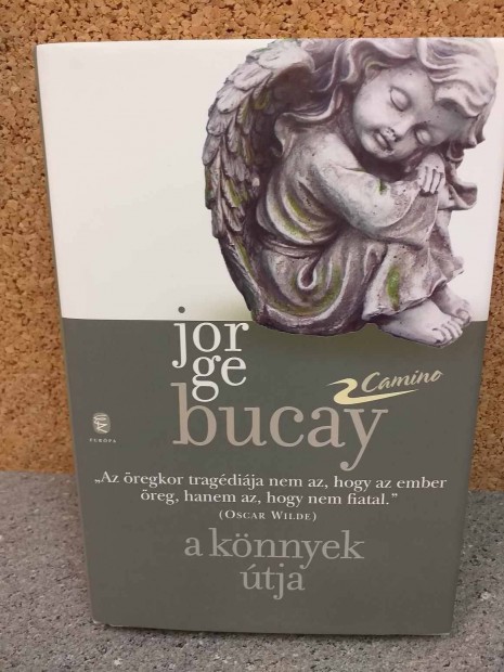 Elad Jorge Bucay: A knnyek tja