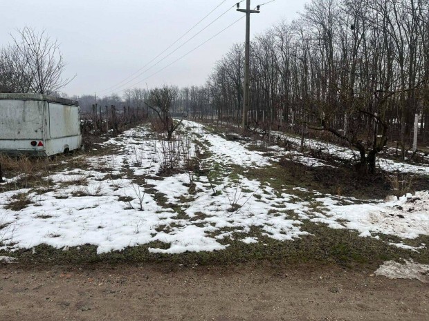 Elad� Kecskem�t Vacsihegyben �p�t�si telek