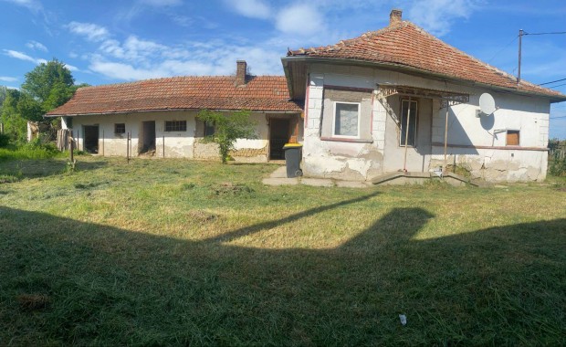 Elad Kertes Hz