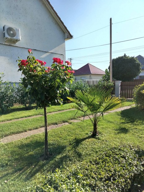 Elad� Kertes h�z Ebes