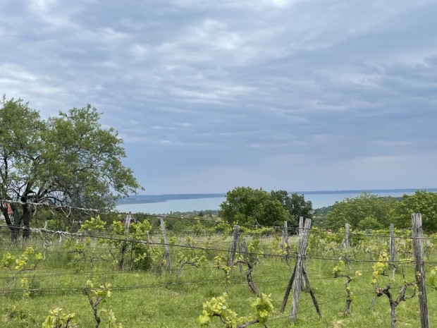Elad Klterleti telek Balatonalmdi