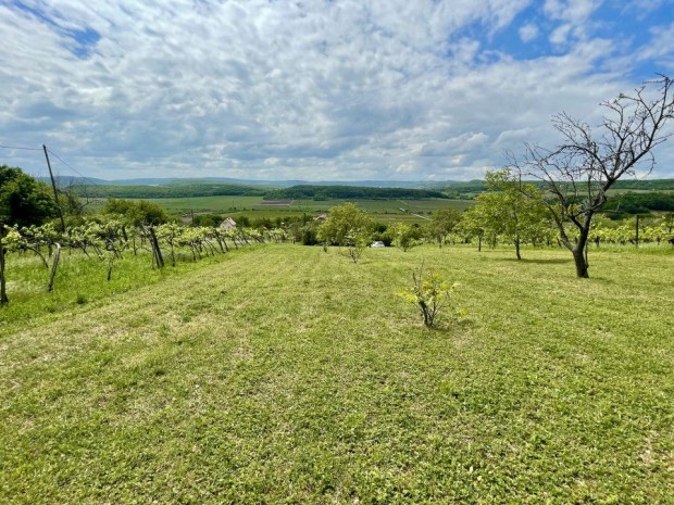 Elad Klterleti telek Balatonszls