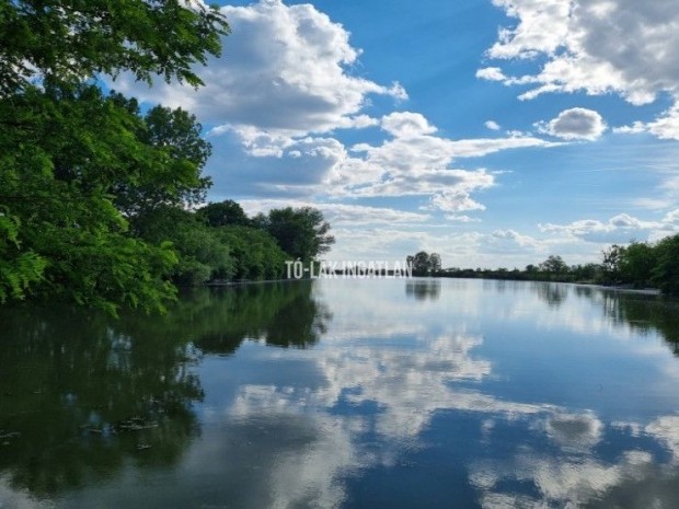 Elad� K�lter�leti telek �cs�d