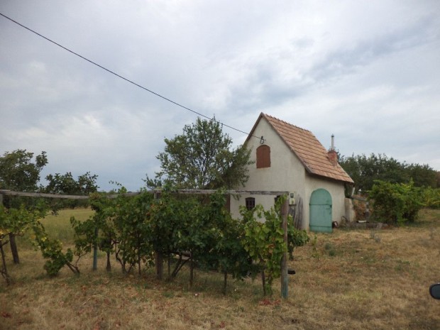 Elad Klterleti telek Vrpalota