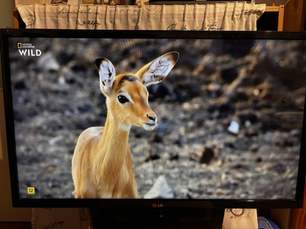 Elad LG led televzi