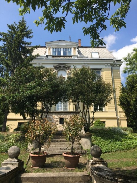 Elad Laks, Budapest 2. ker.