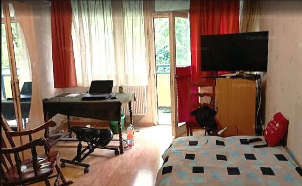 Elad Laks, Budapest 8. ker.